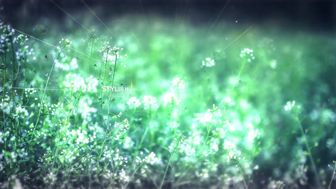 Elegant Opener Videohive 16649671 After Effects Image 3
