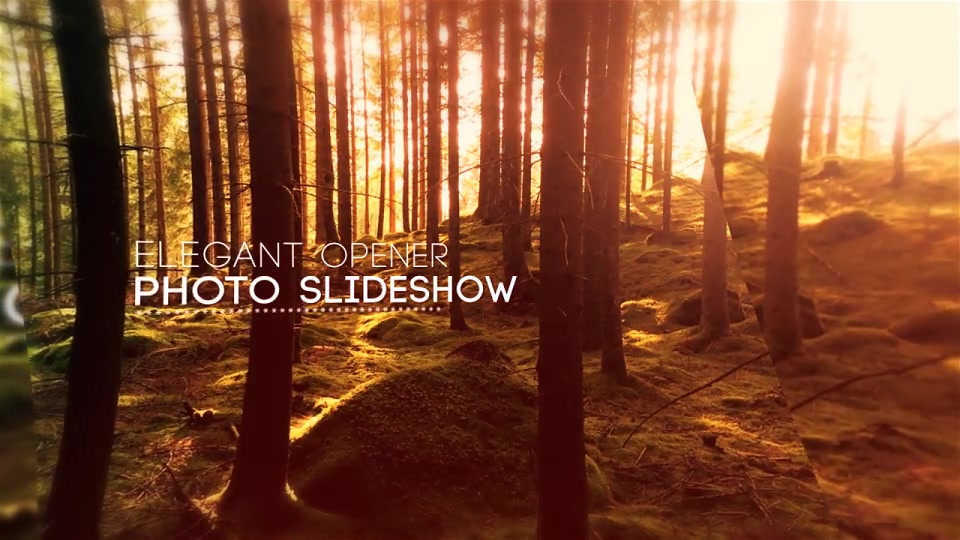 Elegant Opener Photo Slideshow - Download Videohive 13057780