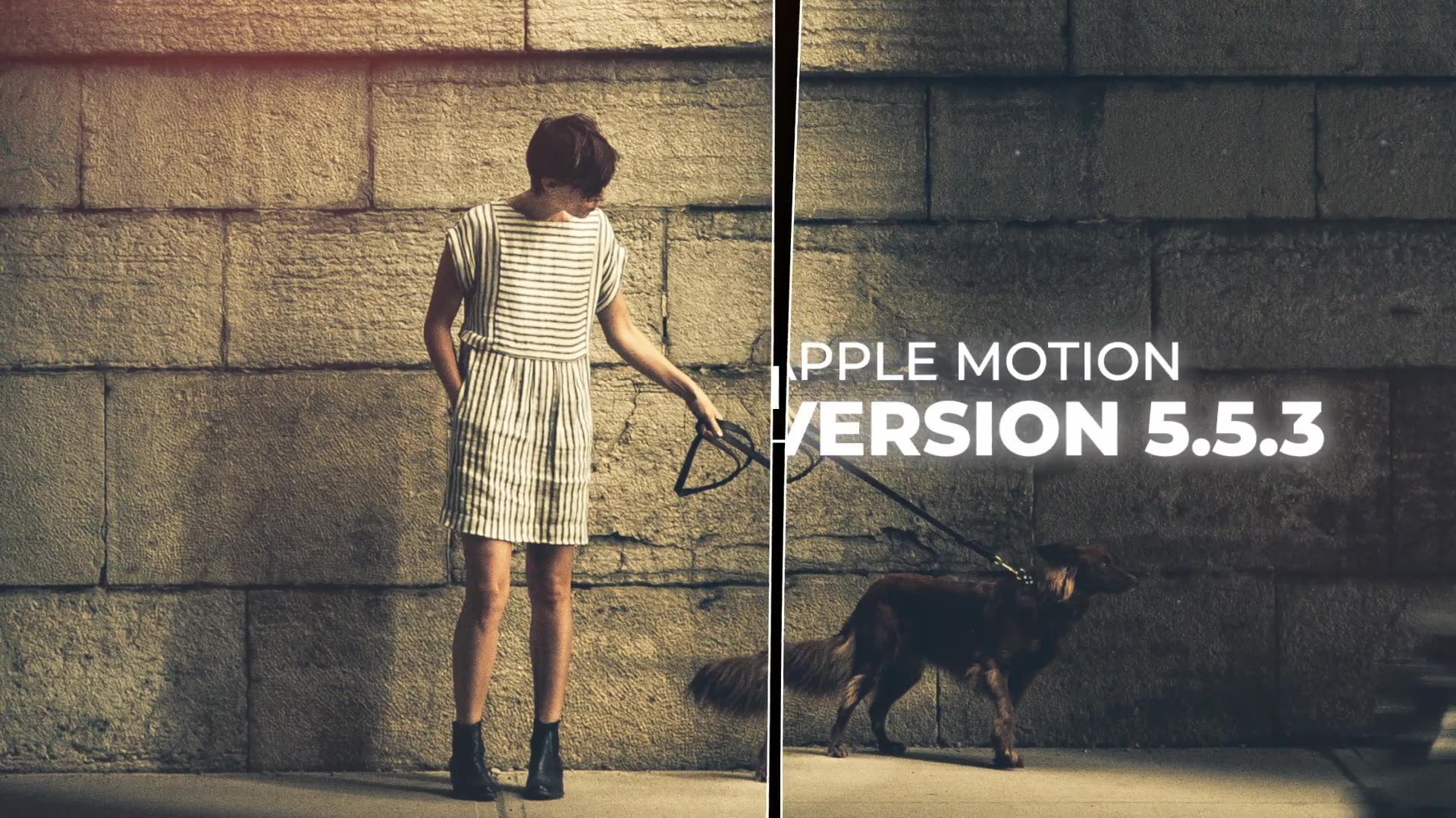 Elegant Opener Slideshow Apple Motion Videohive 33325607 Apple Motion Image 3
