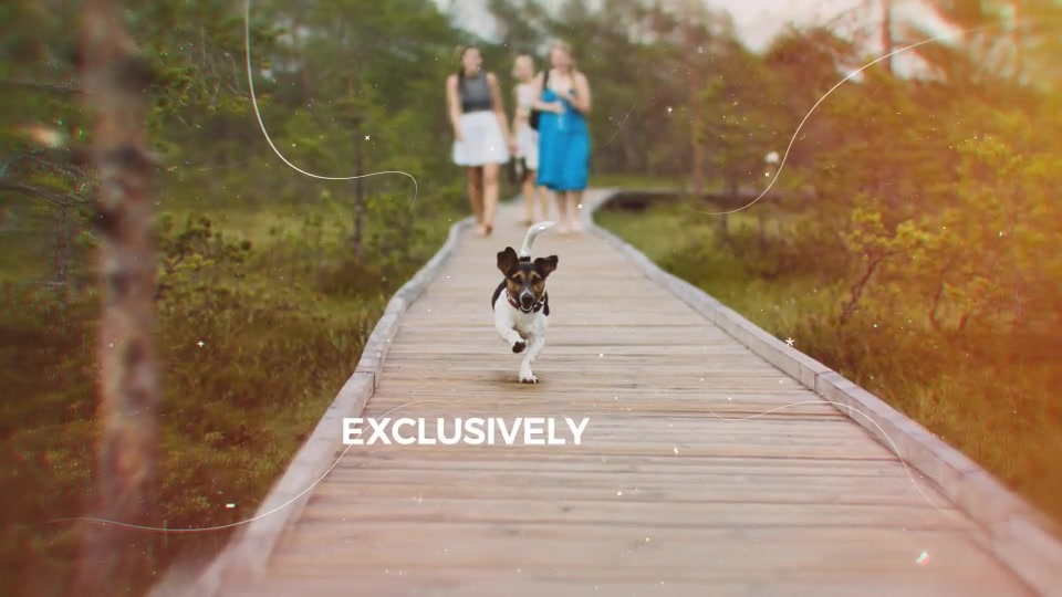 Elegant Parallax Slideshow Videohive 19227960 After Effects Image 11