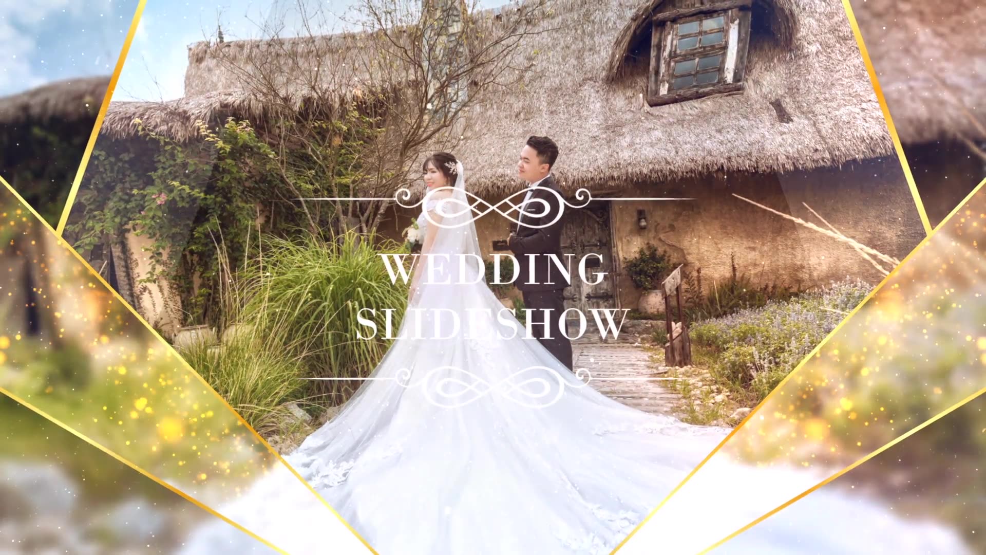 Elegant Particle Wedding Slideshow Videohive 31687220 After Effects Image 13
