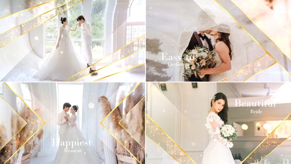 Elegant Particle Wedding Slideshow - Videohive 31687220 Download