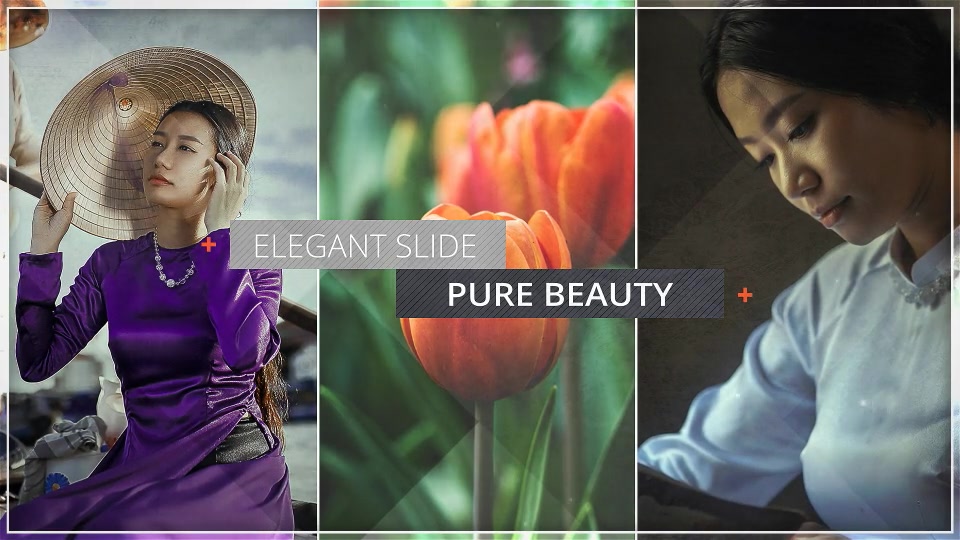 Elegant Photo Slide - Download Videohive 18007349