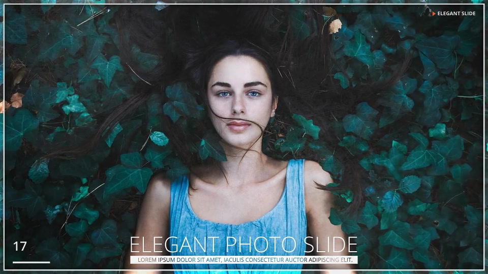 Elegant Photo Slide - Download Videohive 18007349