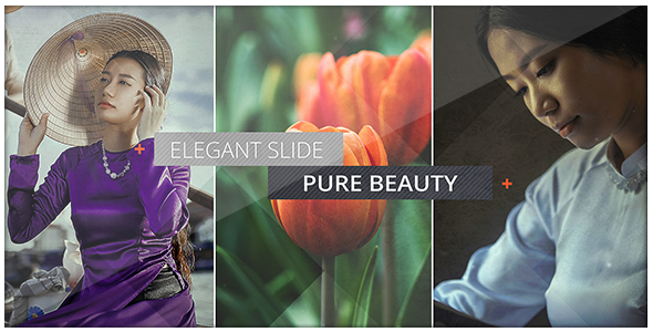 Elegant Photo Slide - Download Videohive 18007349