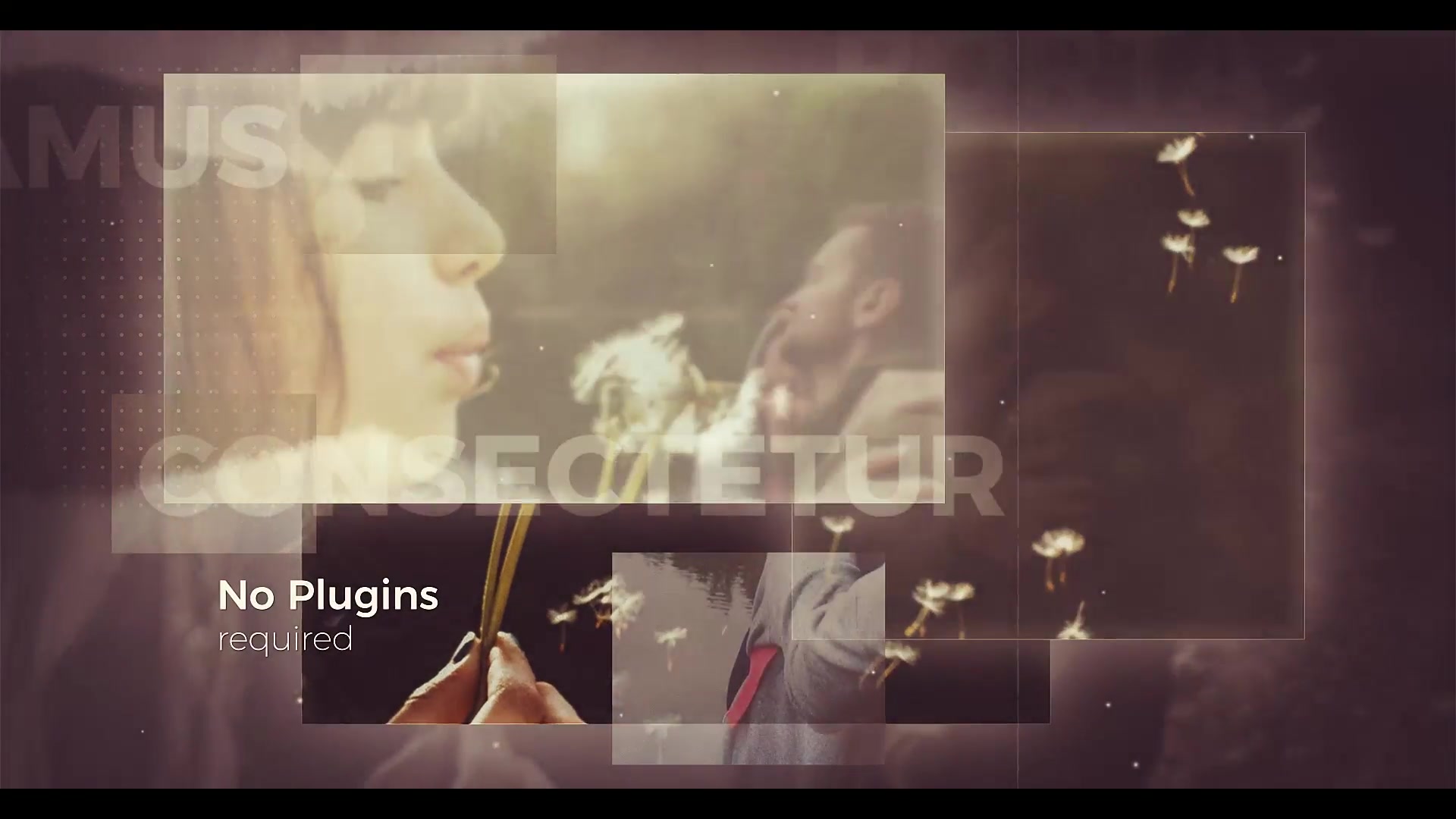 Elegant Photo Slideshow Videohive 24649882 After Effects Image 5