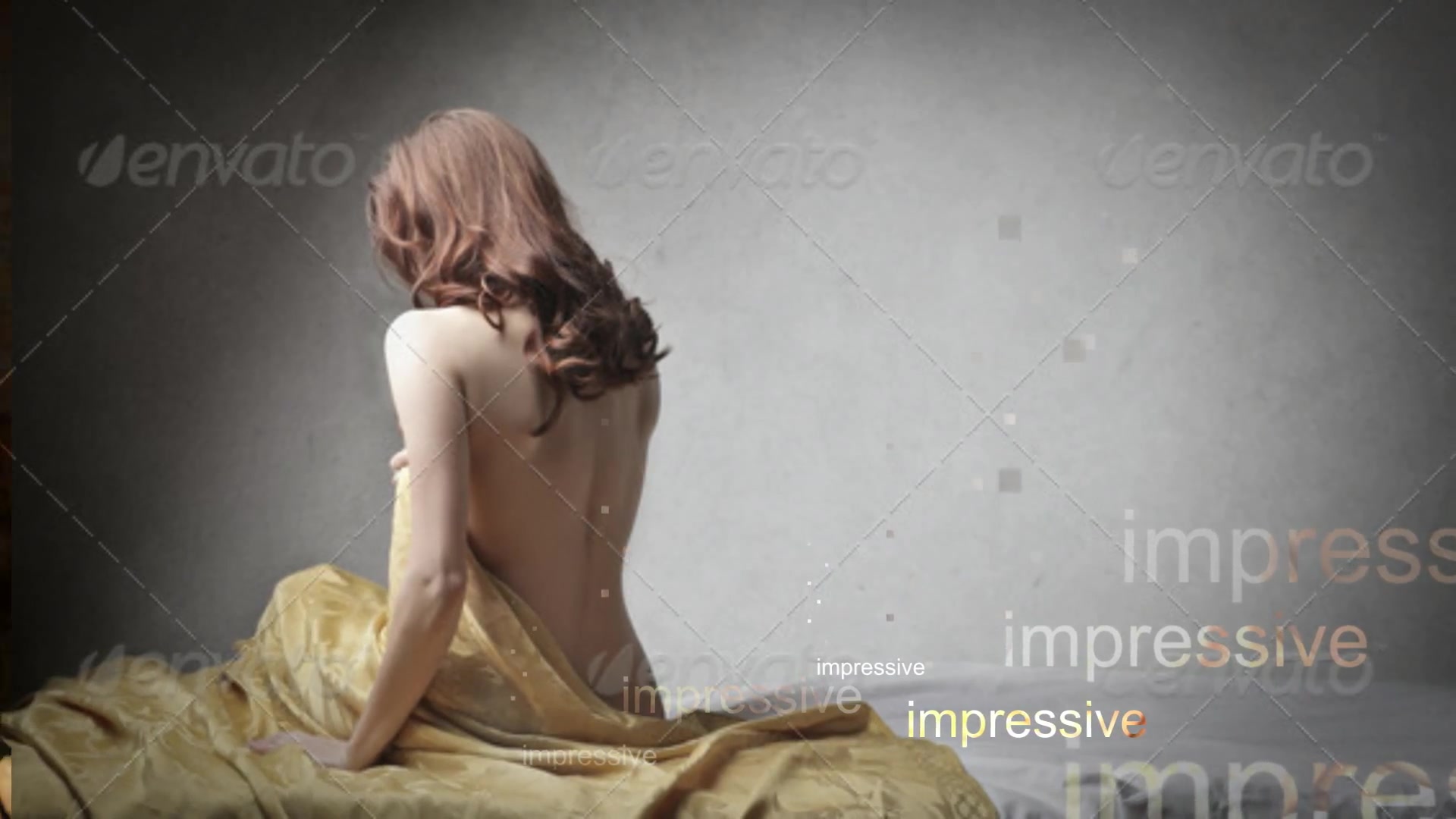 Elegant Picture Transition - Download Videohive 8949918