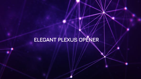 Elegant Plexus Opener - 21689871 Videohive Download