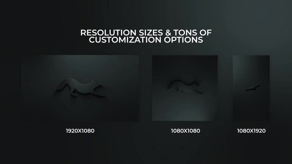 Elegant Shadow Logo Pack Videohive 31275627 After Effects Image 8