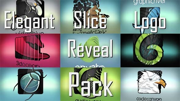 Elegant Slice Logo Reveal Pack - Download Videohive 14674906
