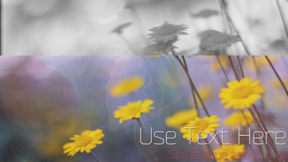 Elegant Slide Show 2 - Download Videohive 6862625