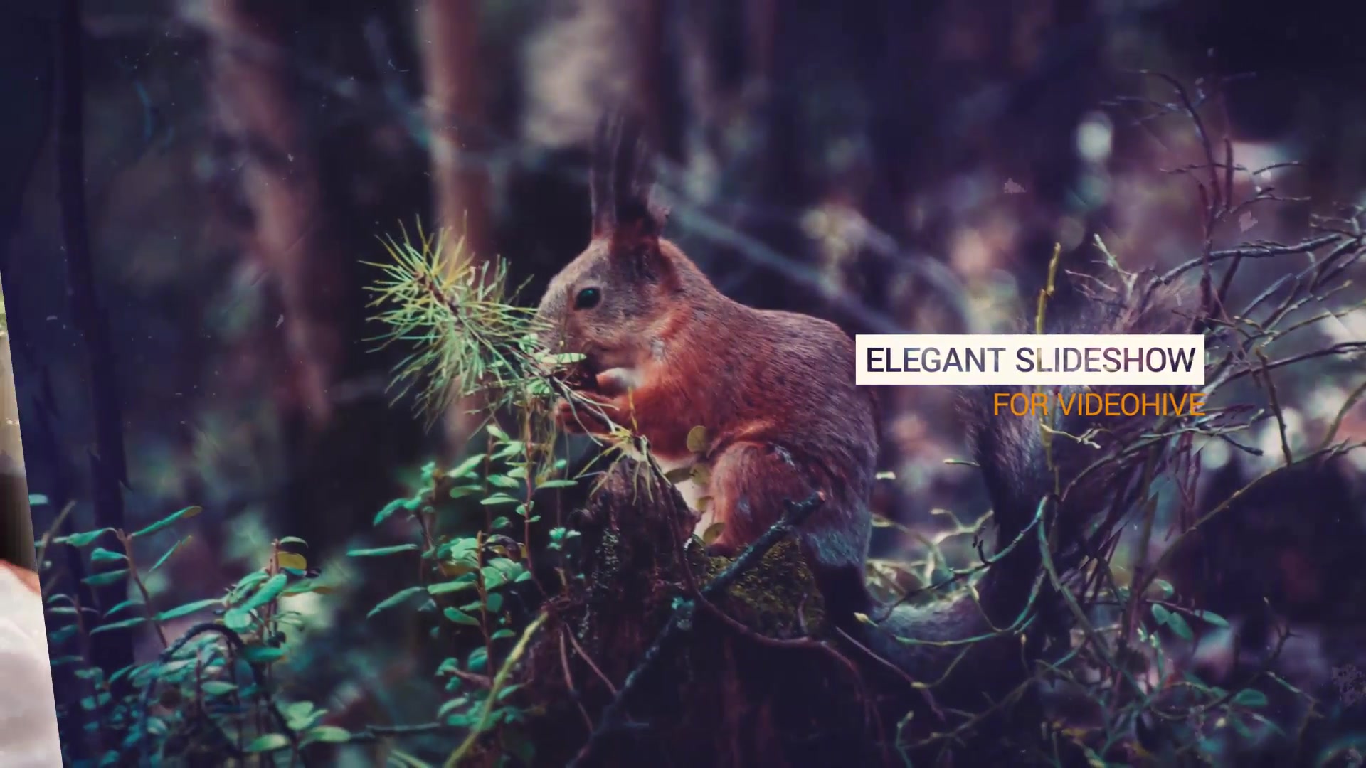 Elegant Slideshow - Download Videohive 16579036