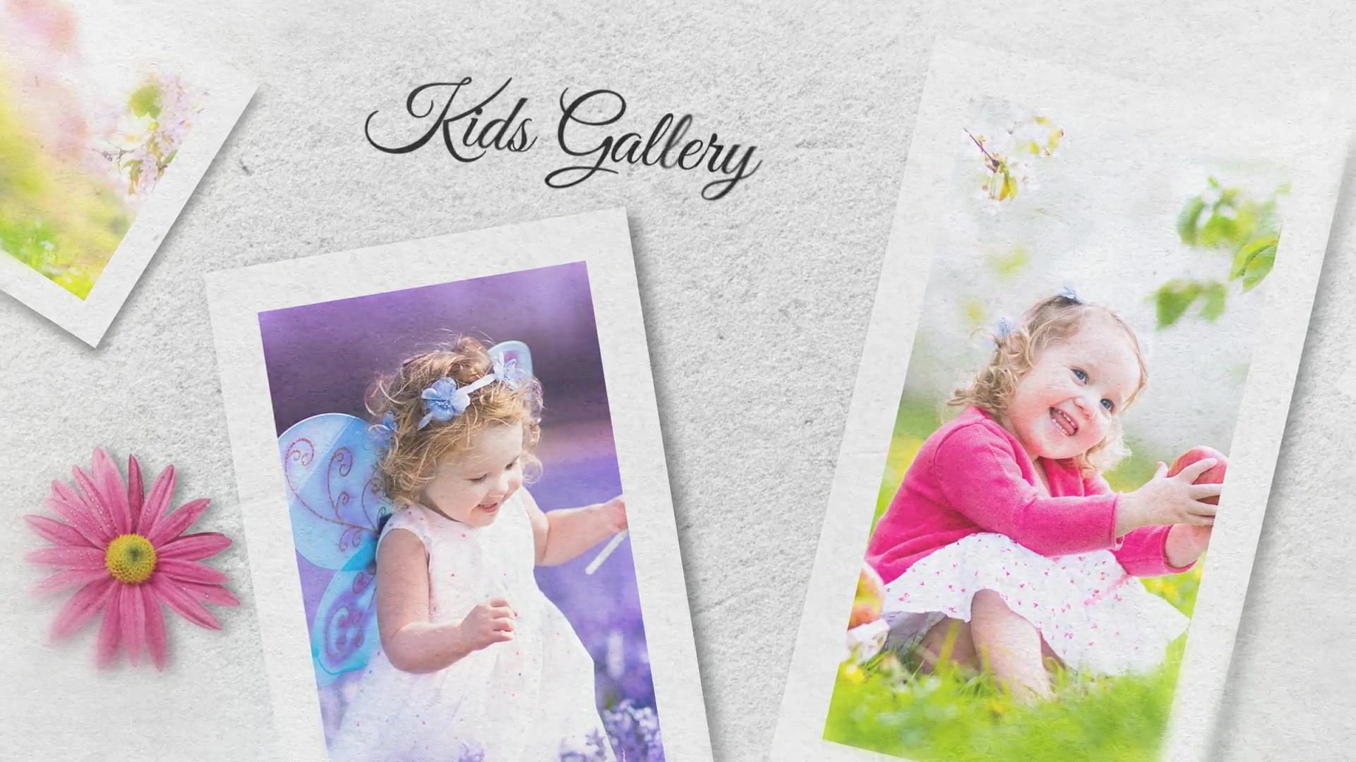 Elegant Slideshow - Download Videohive 8026029