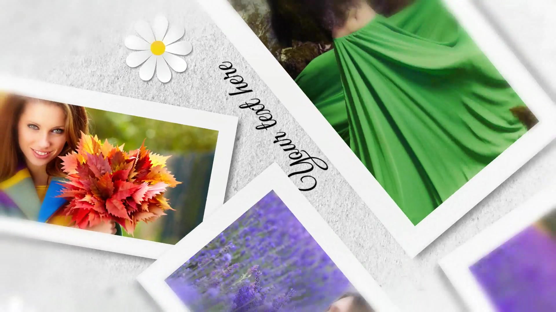 Elegant Slideshow - Download Videohive 8026029