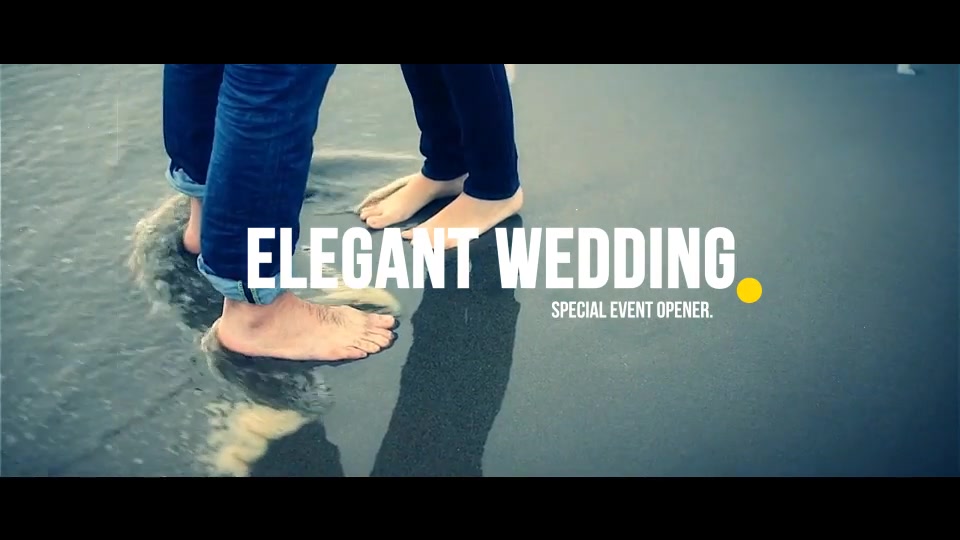Elegant Wedding Videohive 22044427 After Effects Image 12