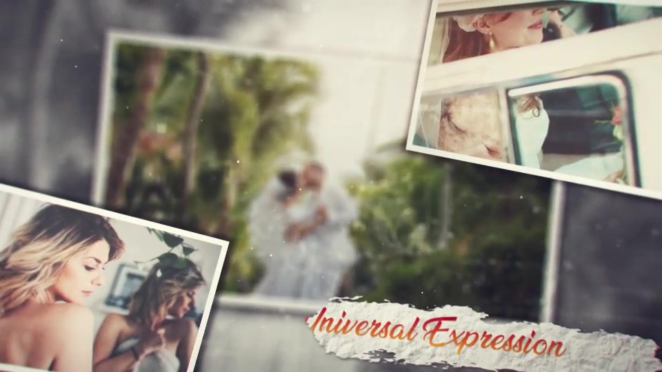 Elegant Wedding Story Videohive 25998012 After Effects Image 4