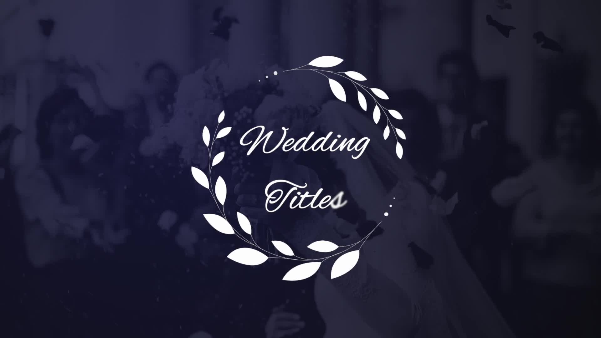 Elegant Wedding Titles Videohive 27035892 Apple Motion Image 1