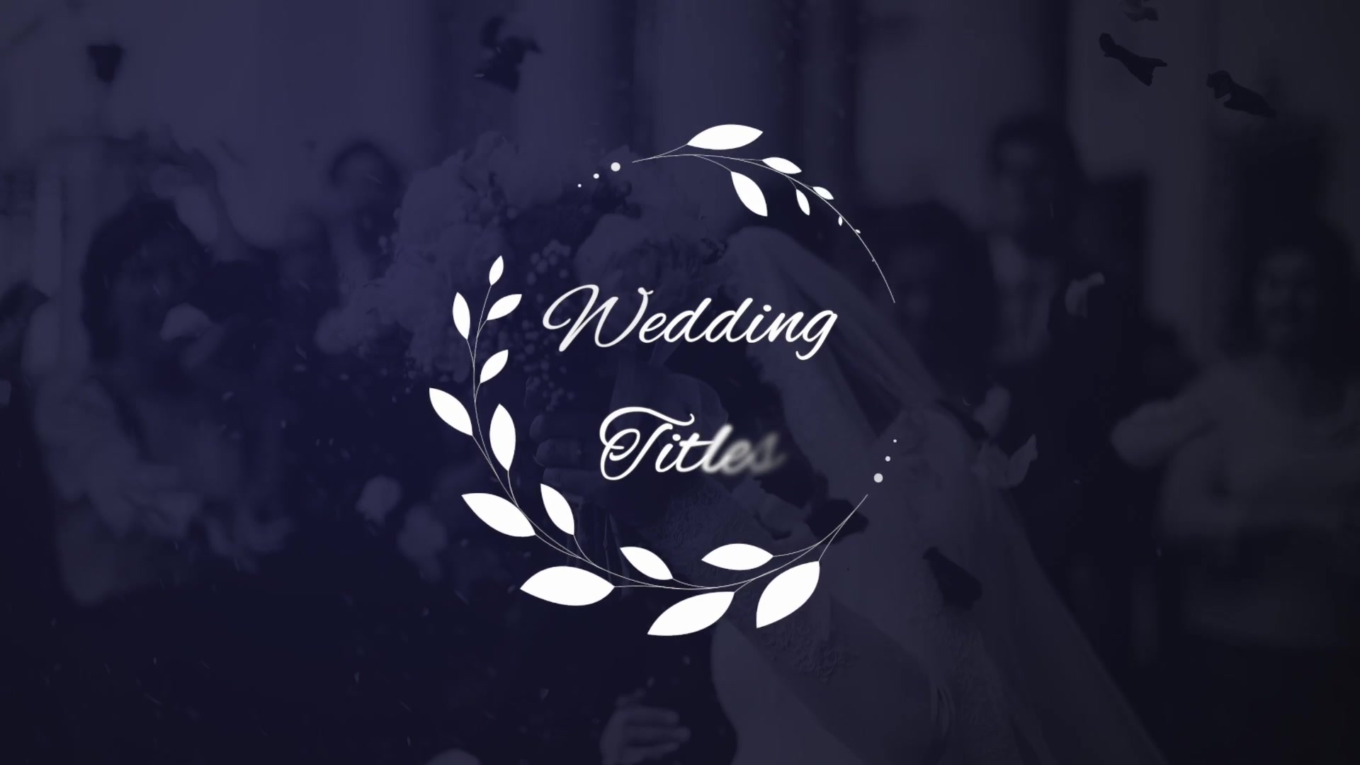 Elegant Wedding Titles Videohive 27035892 Apple Motion Image 12