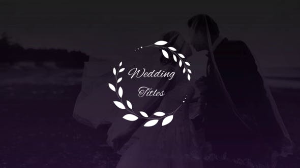 Elegant Wedding Titles - 27035892 Download Videohive