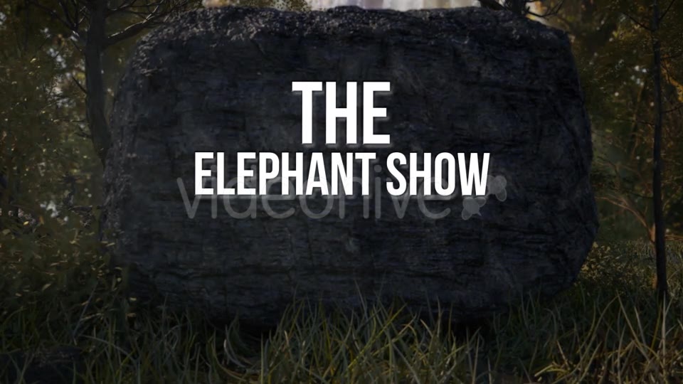 Elephant Logo Reveal Videohive 21262101 After Effects Image 12