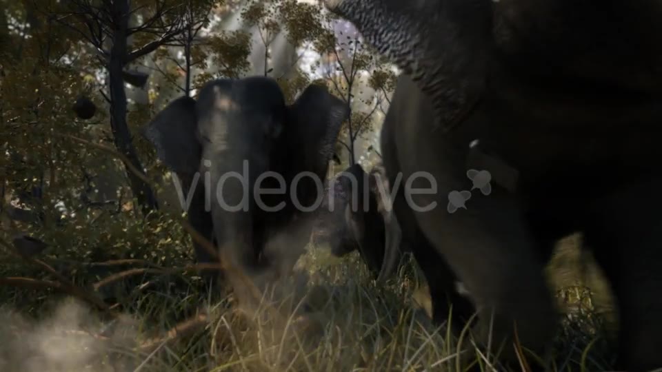 Elephant Logo Reveal Videohive 21262101 After Effects Image 2