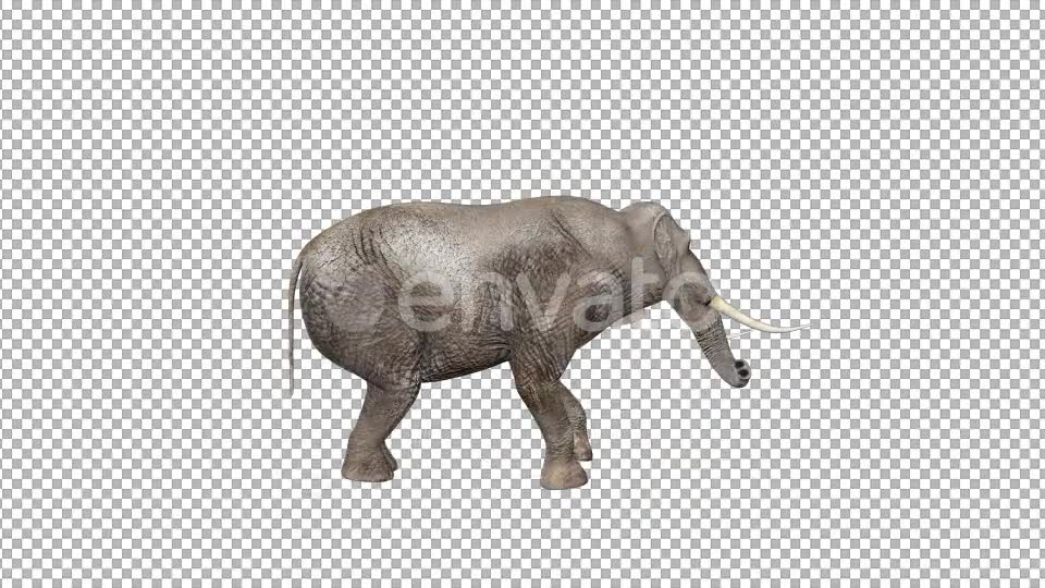 Elephant Walk Attack - Download Videohive 22081985