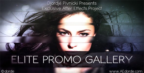 Elite Promo Gallery - Download Videohive 2732266