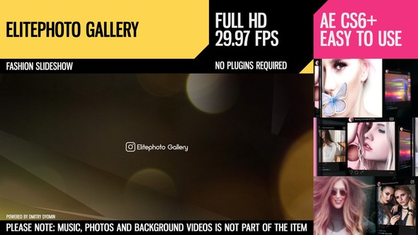 Elitephoto Gallery - Download Videohive 21202347