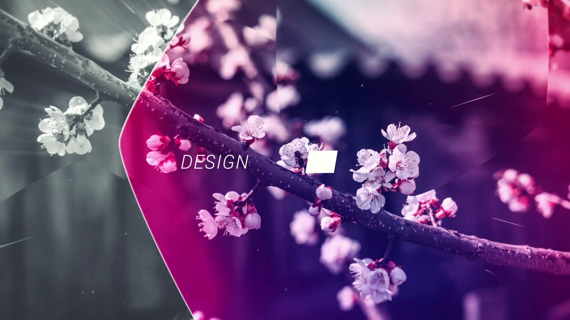 Emotional Opener For Premiere Pro Videohive 29071068 Premiere Pro Image 4