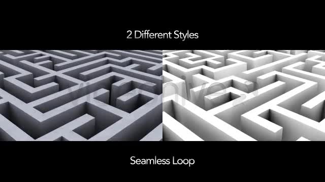 Endless Loop of a Maze or Labyrinth 2 Styles - Download Videohive 5494325