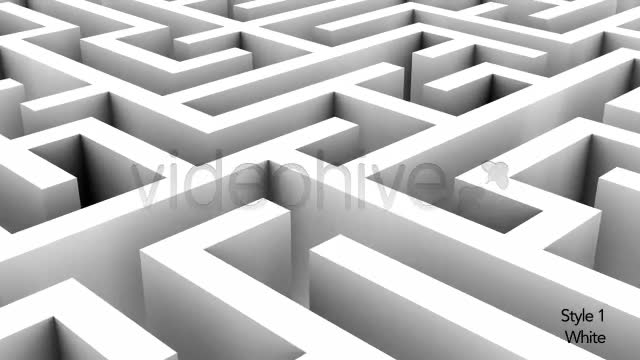 Endless Loop of a Maze or Labyrinth 2 Styles - Download Videohive 5494325