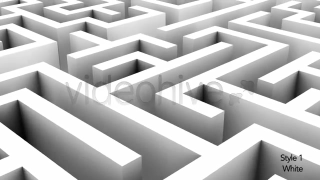 Endless Loop of a Maze or Labyrinth 2 Styles - Download Videohive 5494325