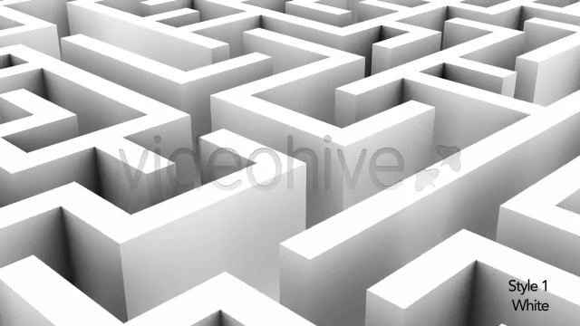 Endless Loop of a Maze or Labyrinth 2 Styles - Download Videohive 5494325