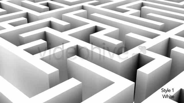 Endless Loop of a Maze or Labyrinth 2 Styles - Download Videohive 5494325