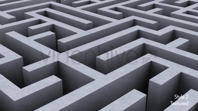 Endless Loop of a Maze or Labyrinth 2 Styles - Download Videohive 5494325