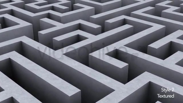 Endless Loop of a Maze or Labyrinth 2 Styles - Download Videohive 5494325