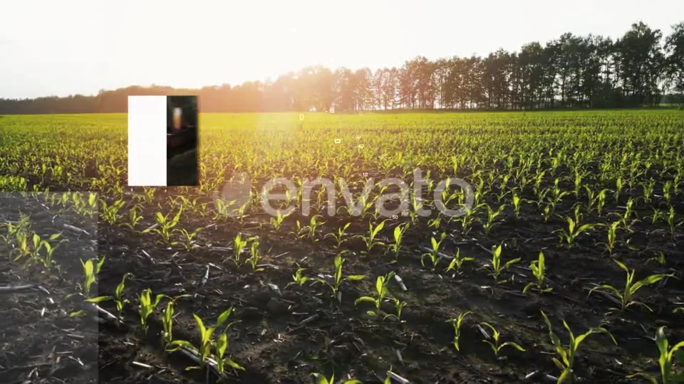 Energy From Nature Videohive 35036830 After Effects Image 8