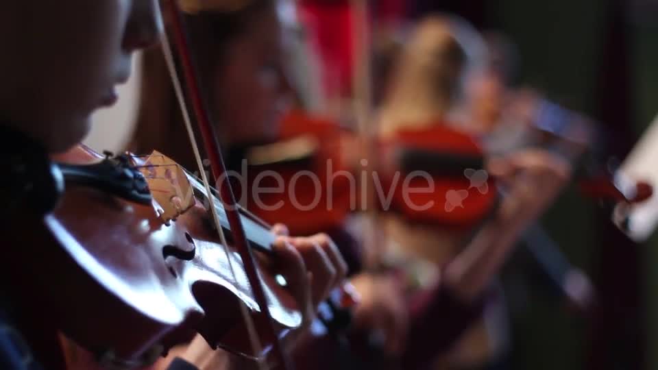 Ensemble Plays the Violin  Videohive 11392347 Stock Footage Image 1