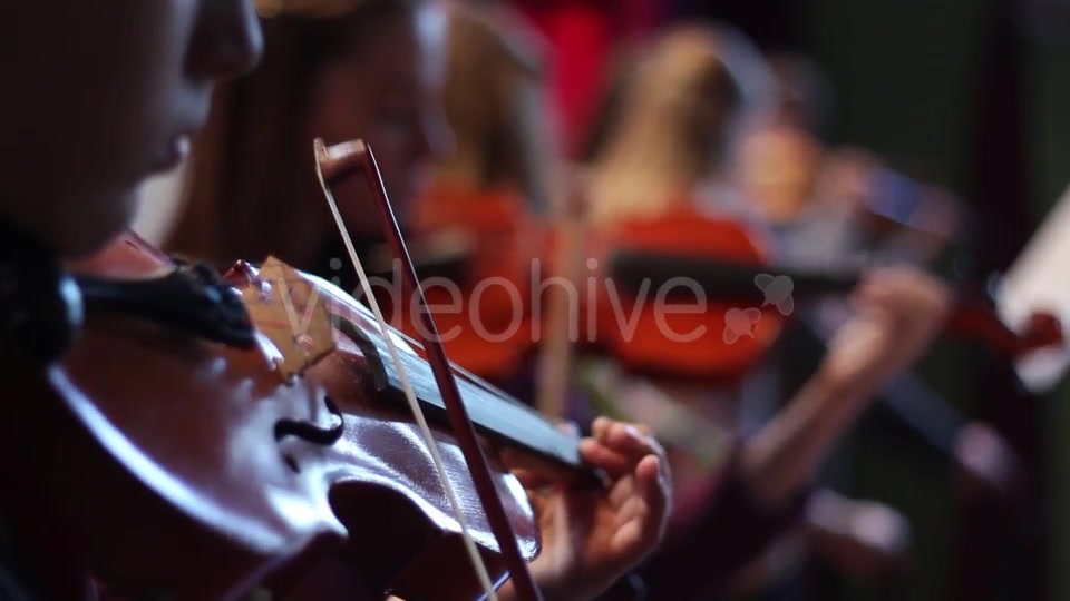 Ensemble Plays the Violin  Videohive 11392347 Stock Footage Image 10
