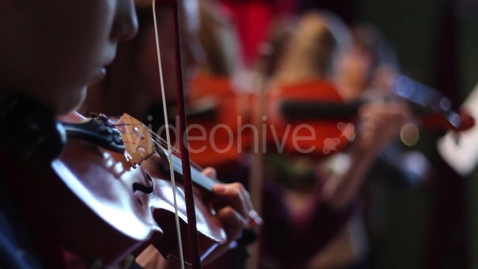 Ensemble Plays the Violin  Videohive 11392347 Stock Footage Image 2