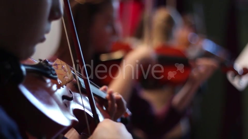 Ensemble Plays the Violin  Videohive 11392347 Stock Footage Image 3