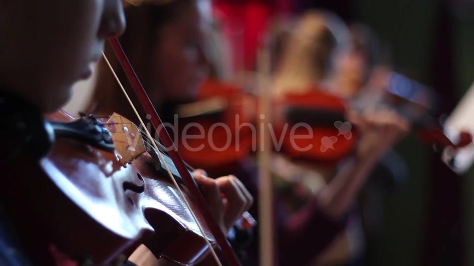 Ensemble Plays the Violin  Videohive 11392347 Stock Footage Image 4