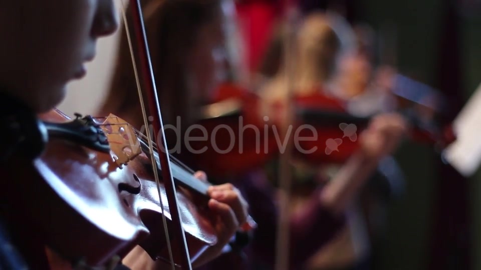 Ensemble Plays the Violin  Videohive 11392347 Stock Footage Image 5