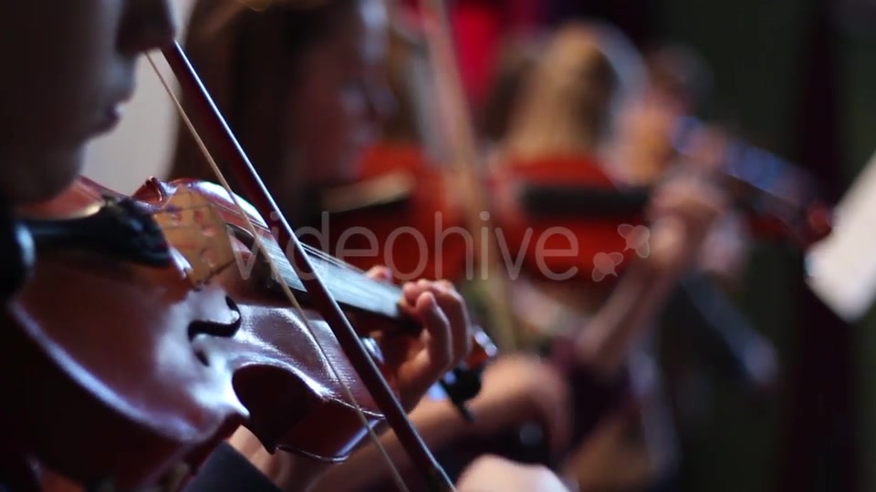Ensemble Plays the Violin  Videohive 11392347 Stock Footage Image 6