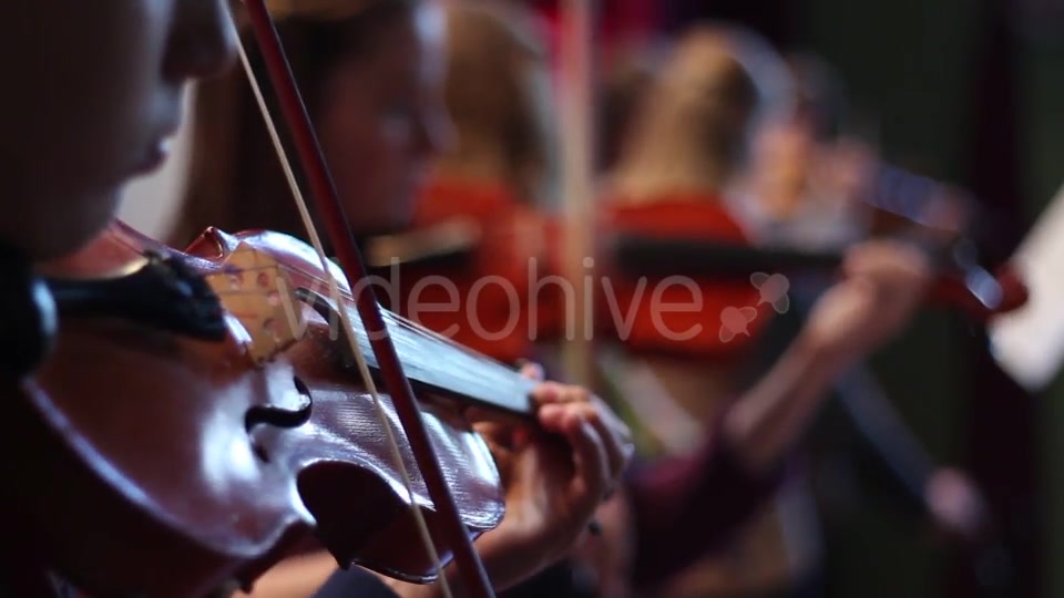 Ensemble Plays the Violin  Videohive 11392347 Stock Footage Image 7