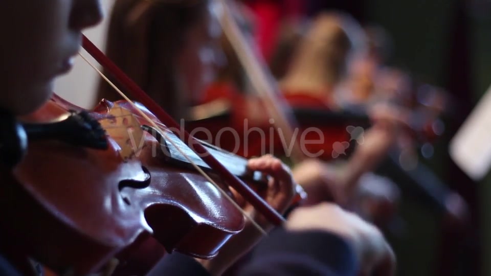 Ensemble Plays the Violin  Videohive 11392347 Stock Footage Image 8