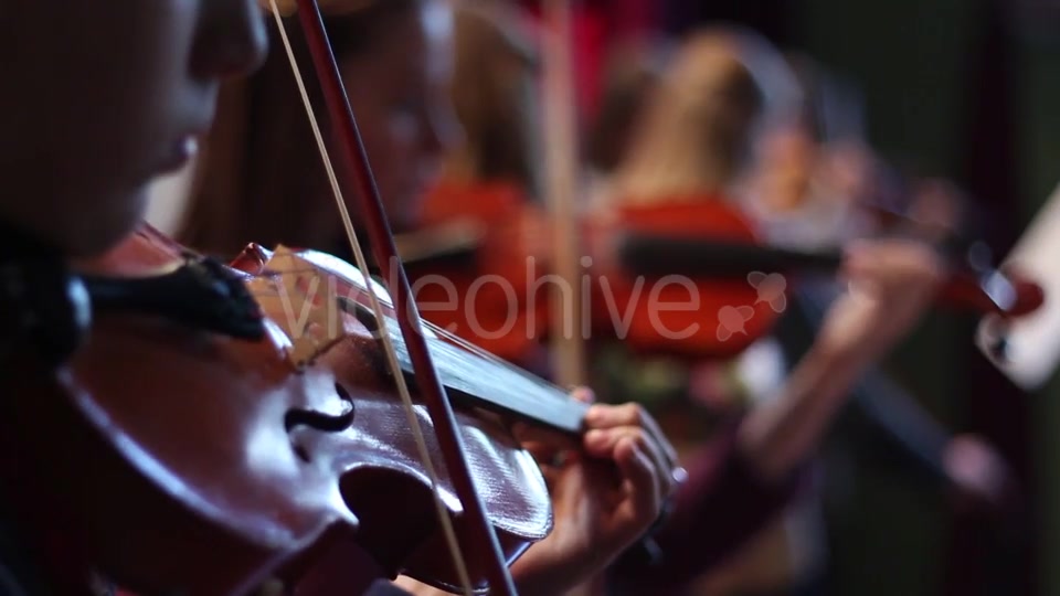 Ensemble Plays the Violin  Videohive 11392347 Stock Footage Image 9