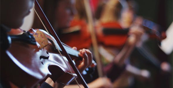 Ensemble Plays the Violin  - Videohive 11392347 Download