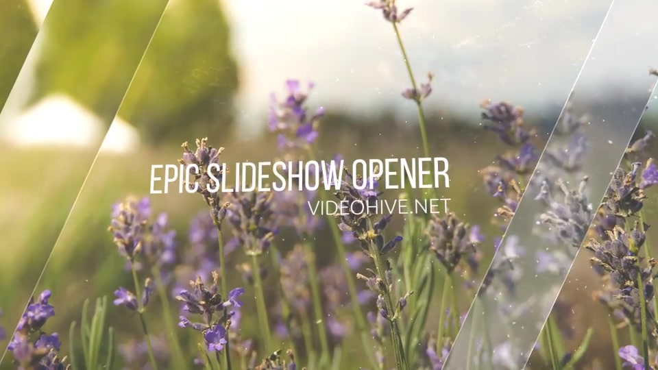Epic Slideshow Opener Videohive 12262207 After Effects Image 4