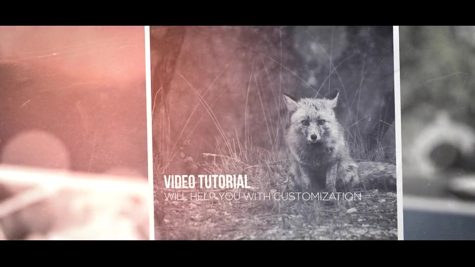 Epic Vintage Slideshow Videohive 12447829 After Effects Image 5